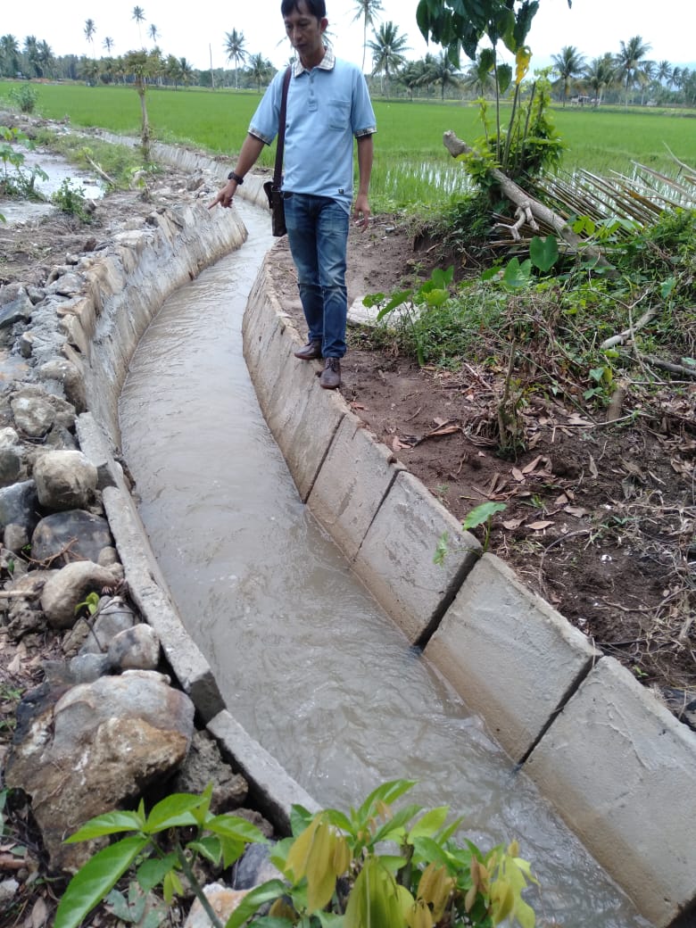 Progam Percepatan Peningkatan Tata Guna Air Irigasi di Pesibar Jadi Sasaran Empuk Pungli