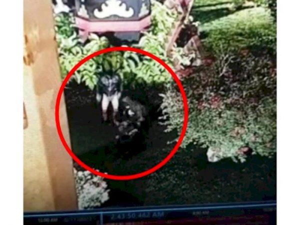 Wanita ODGJ Yang Jadi Korban Perkosaan di Tugu Duren Pernah Dua Kali Hamil Akibat Aksi Yang Sama?