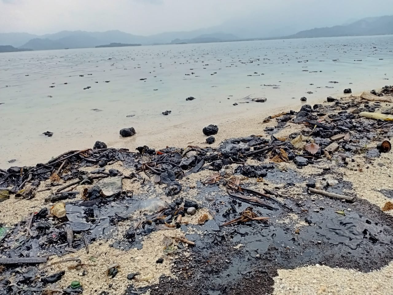 Limbah Cairan Aspal Cemari Pinggir Pantai Pesisir Teluk Pedada