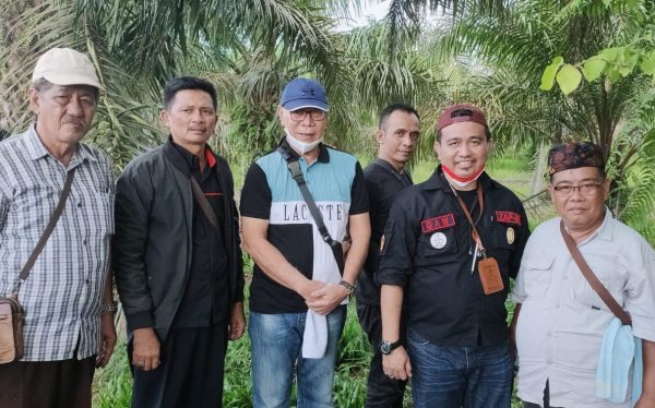 Koperasi SUSB Ambil Alih dan Panen Kebun Sawit