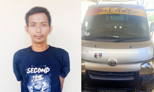 Curi Sapi di Area Plasma PT SIP, Warga Lampung Timur Ditangkap Polsek Penawartama