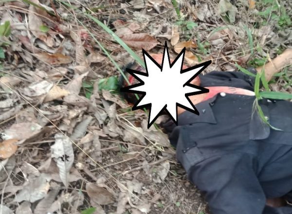 Ditinggal Istri Ambil Makan Siang, Ketua RT Tanjung Harapan Tewas Ditebas Parang di Kebun