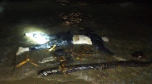 Mayat Pria Anonim Ditemukan Mengapung di Perairan Way Semaka