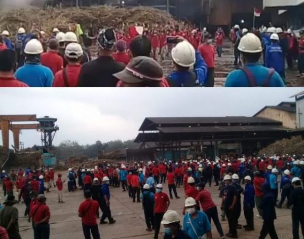Buruh dan Karyawan PT Gunung Madu Unjukrasa Dua Hari Produksi Giling Terhenti