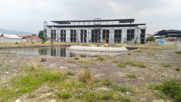PAI Dukung Polda Lampung Usut Reklamasi Ilegal RM Jumbo Seafood