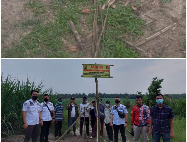 Polda Lampung Dilecehkan, Segel Status Quo di Lahan Tebu Yang Dikuasai Oknum Dewan Way Kanan Hilang