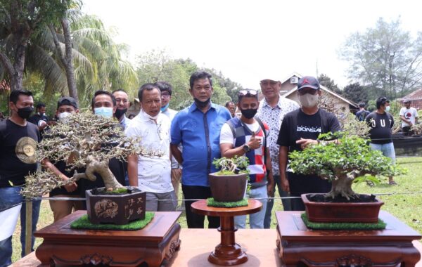 Pencinta Bonsai Silahturahmi Lelang Tanaman Untuk Santunan Anak Yatim