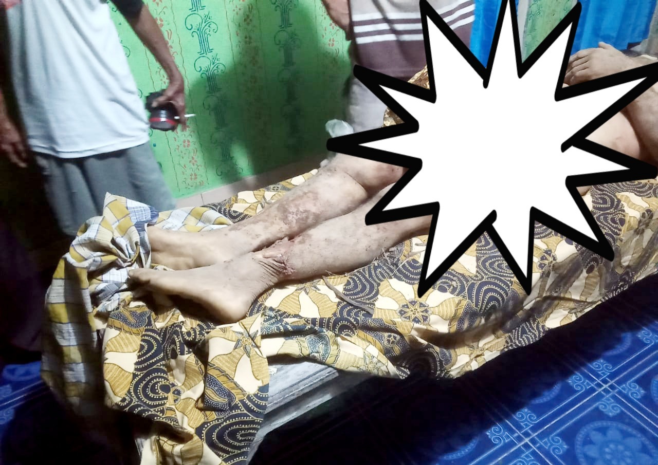 Petani Tewas Diserang Gajah di Ladang Perbatasan Hutan Way Kambas