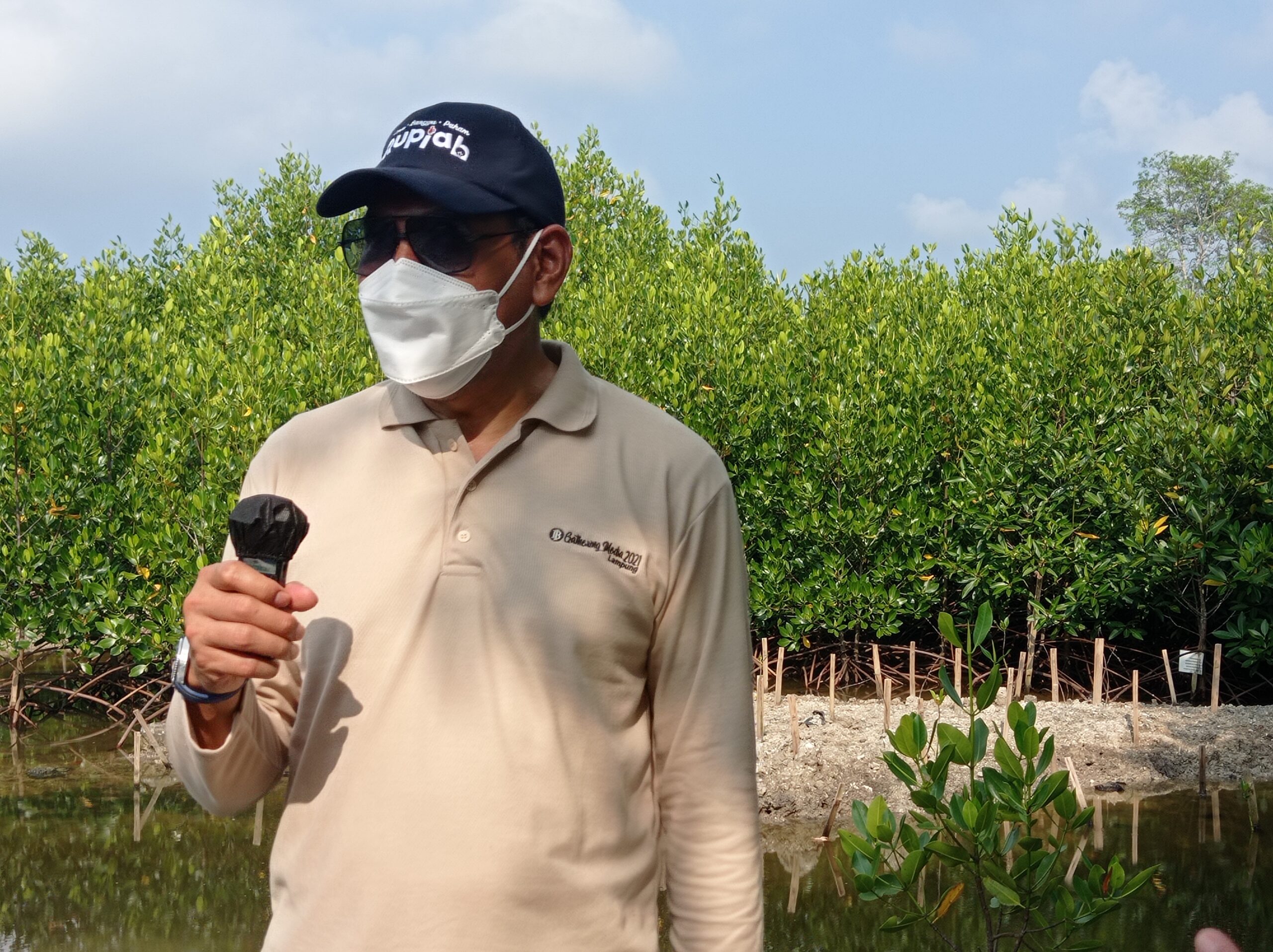 Bank Indonesia Lampung Tanam Ratusan Pohon Mangrove, Budiharto: Untuk Kendalikan Abrasi