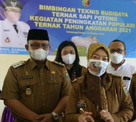 Chusnunia Chalim Sumbangkan Puluhan Sapi ke Kelompok Peternak