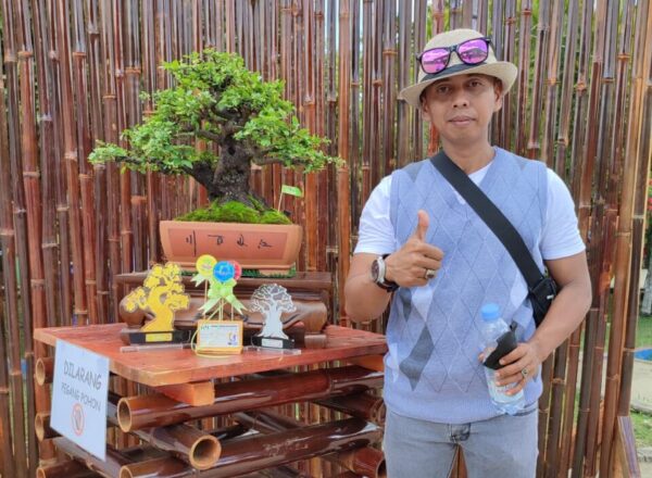 Empat Bonsai Milik Mas Iponk Raih Juara di Ajang Lomba Bonsai HUT 13 Mesuji