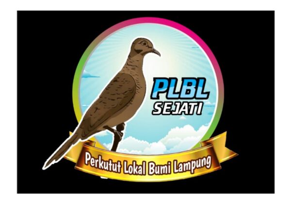 Gandeng SMSI Lampung Utara Paguyuban Terkutut Siap Gelar Kontes Gacoran 2021