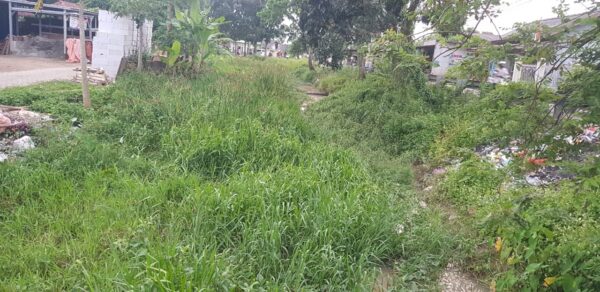 Sungai Cidurian Menyempit Dan Dangkal, Kades Jengkol : Tidak Ada Perhatian Dari PUPR Melalui BBWS C3.