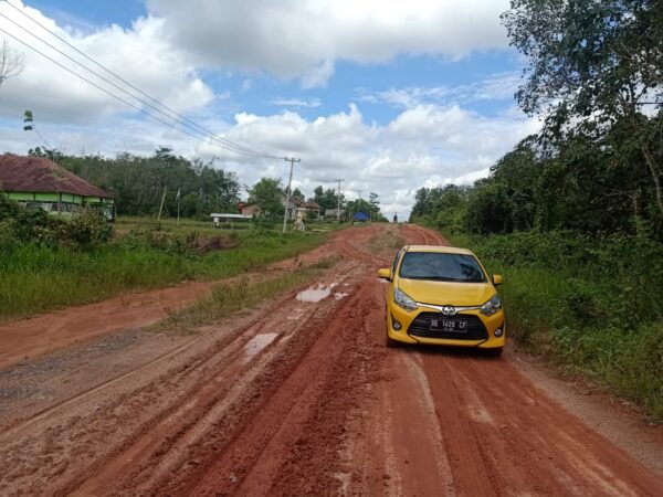Masyarakat Labuhan Permai Minta Pemkab Mesuji Perbaiki Jalan