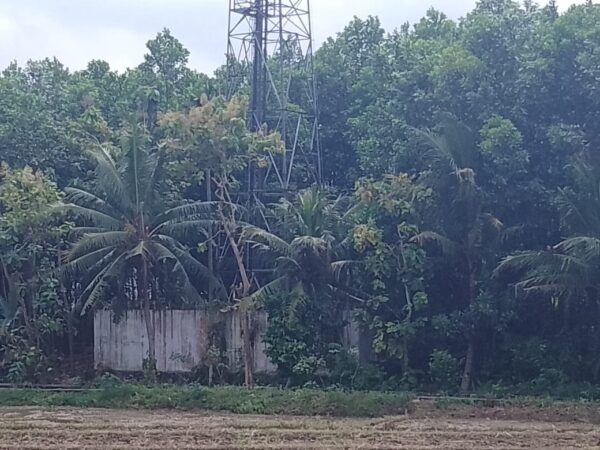 Bangunan Tower BTS di Yosorejo Metro Diduga Tak Berizin