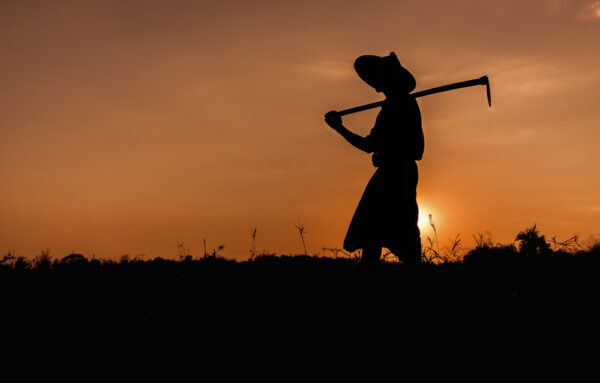 Dilaporkan Penyerobotan Lahan, LBH PAI Damping Petani Desa Kelawi