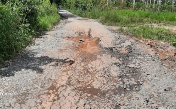 Jadi Lalulintas Angkutan Sawit dan Tebu Jalan Provinsi di Tiyuh Penumangan Hancur Perusahaan Cuek