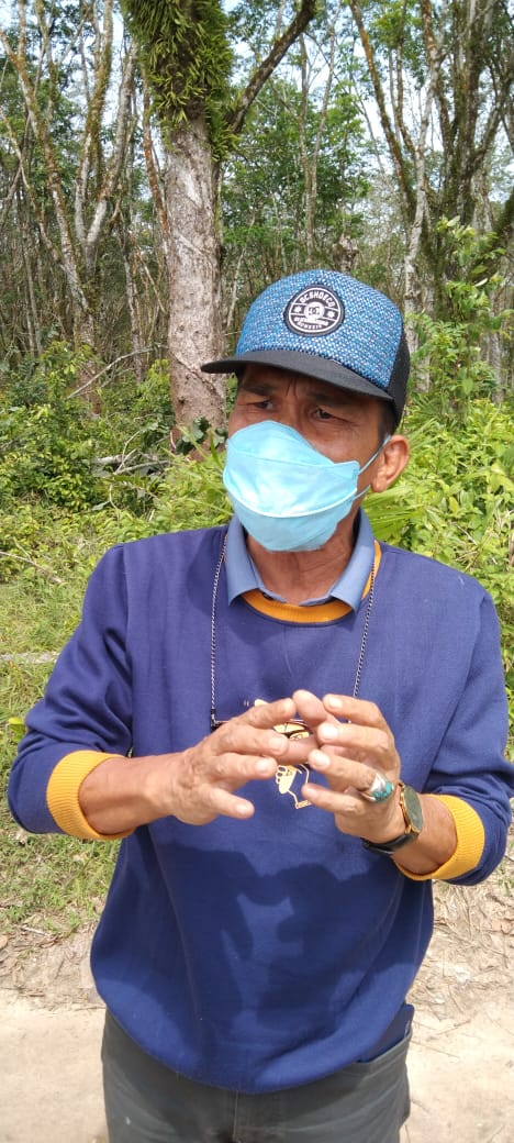 Tersinggung Pernyataan Juarno, Masyarakat 5 Keturunan Bandardewa Tebang Pohon Karet Diluar HGU PT HIM