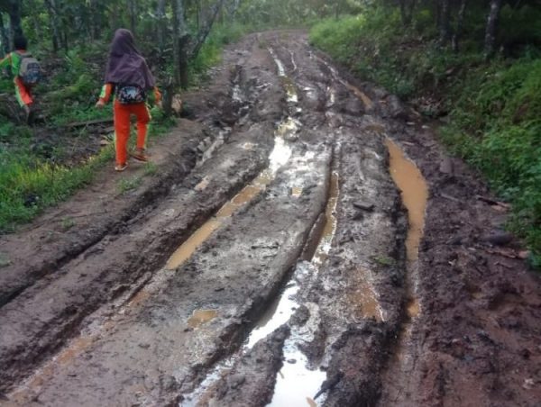 Lapor Pak Dendi, Jalan Tiga Dusun di Desa Bayas Jaya Bak Kubangan Sawah Belum Tersentuh Pembangunan