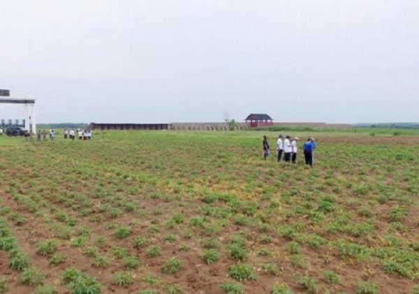 Usut Kasus Pungli Sewa 1300 Hektar Lahan Kota Baru