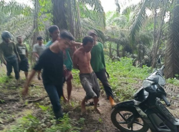 Kepergok Curi Motor Dua Warga Asal Teluk Betung Babak Belur di Kebun Sawit Natar