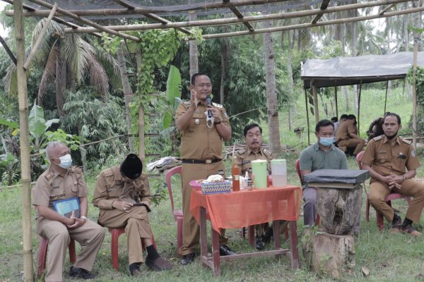 Omah Tawon Mataram di Pringsewu Dapat Apresiasi