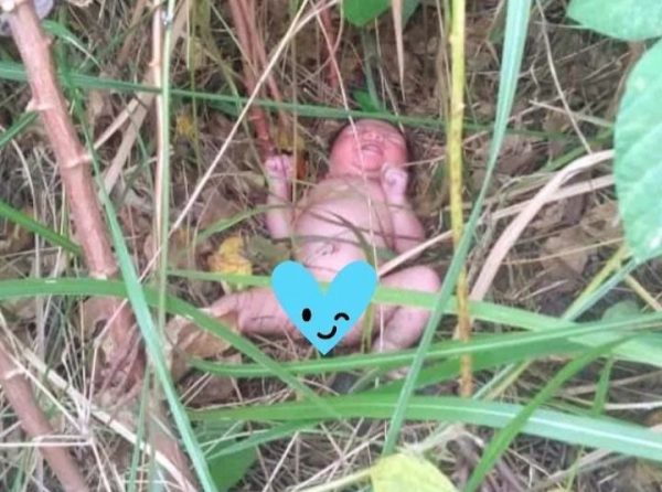 Warga Sukabumi Geger Temukan Bayi Orok Masih Dibuang di Semak-semak