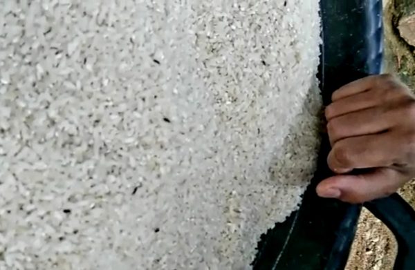 Suplayer BPNT Tanjung Bintang Salurkan Beras Tak Layak Konsumsi E-Warung Kaliasin Pungli Rp10 Ribu?