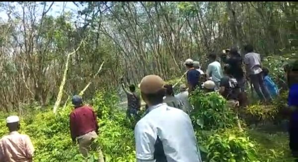 Marah Masyarakat Adat 5 Keturunan Bandardewa Tebangi Pohon Karet PT HIM