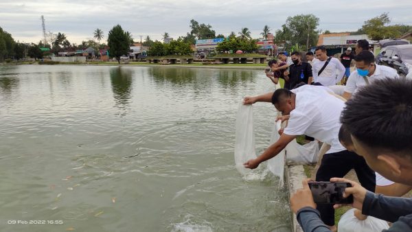 Kolam Islamic Tubaba Kembali Ditebar 22.500 Bibit Ikan