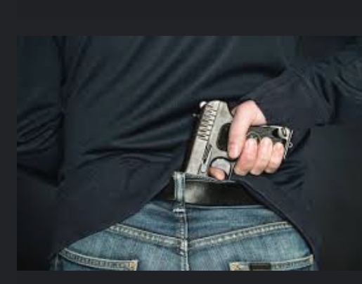 Polres Mesuji Amankan Oknum Anggota LSM Bawa Senpi?