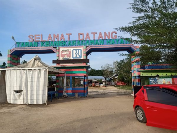 Icon Mesuji Taman KEHATI Bagaikan Hidup Segan Mati Tak Mau