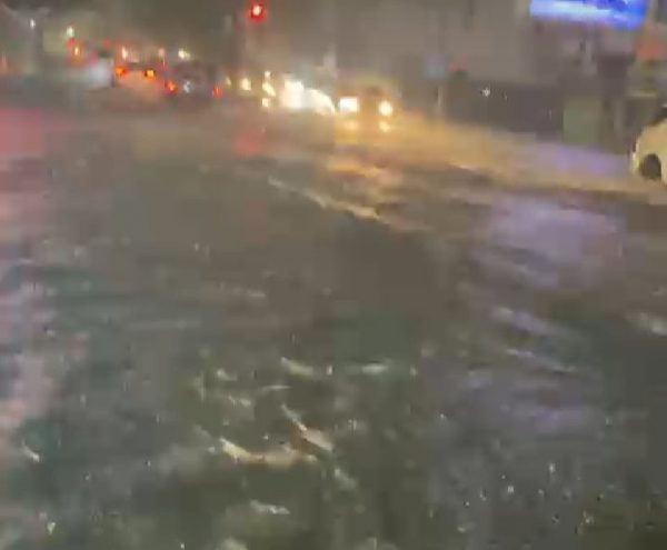 Hujan Deras Satu Jam Kota Bandar Lampung Kembali di Kepung Banjir Rumah Tergenang Hingga Buaya Muncul di Jalan Kartini