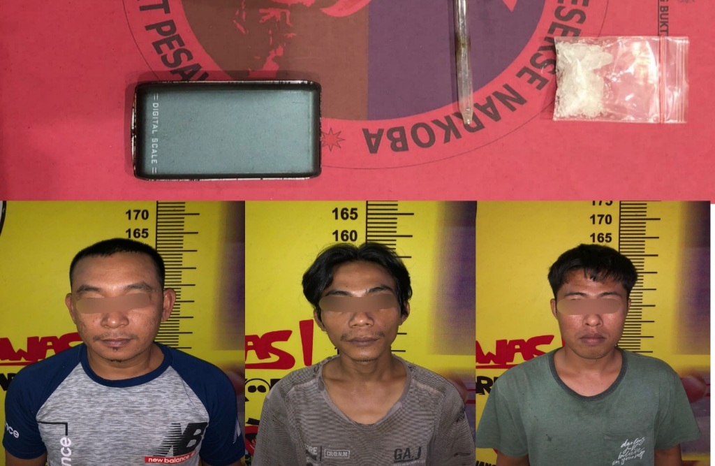 Gerebek Rumah Bandar Narkoba di Negeri Katon Dua Warga Pringsewu Terlibat