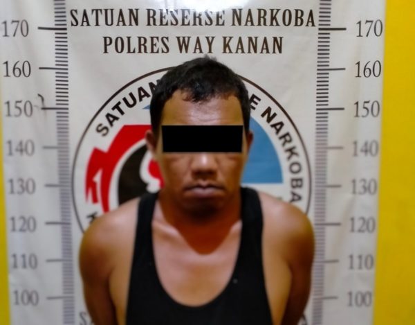 Diduga Mengedarkan Sabu Warga Kotabumi Diringkus