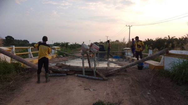 DPUTR Mesuji Respon Cepat Jembatan Jebol Penghubung Desa Tirtalaga dan Sumber Makmur