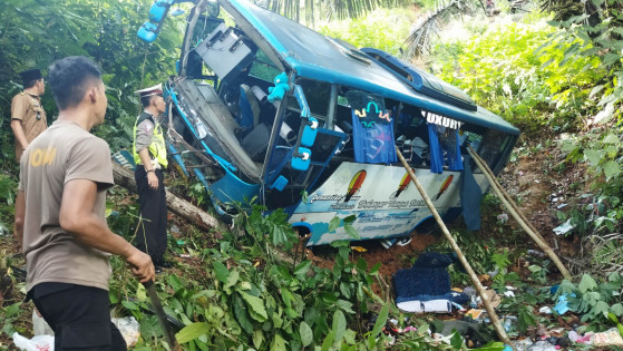 Batal Jalan Jalan ke Krui Bus Penantian Utama Terperosok di Jurang Tikungan Mayit Jalinbar