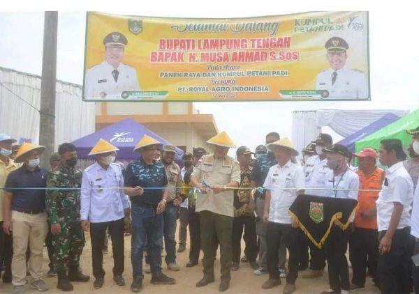 Bupati Lampung Tengah Hadiri Panen Raya Dan peluncuran produk Fungsida Biasil PT. Royal Agung Indonesia