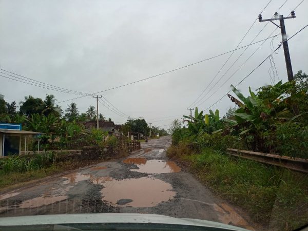 Pulang Kampung Ke Mesuji Pemudik Nikmati Jalan Rusak Simpang Pematang-KTM
