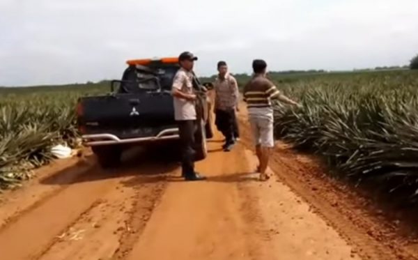 Mau Ambil Gaji di ATM Karyawan GGPC Ditembak Begal di Jalur Perkebunan Nanas Terbanggi Besar
