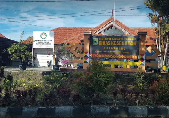 Dinas Kesehatan Kabupaten Tanggamus Angkat Bicara Masalah Kusta