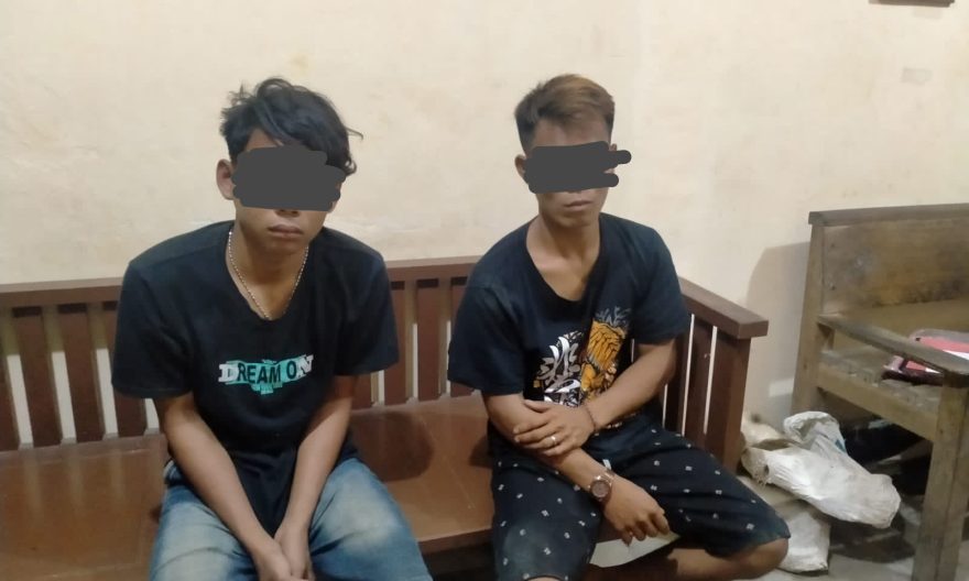 Dua Pemuda Ditangkap Saat Asik Panen Cabai di Kebun Orang