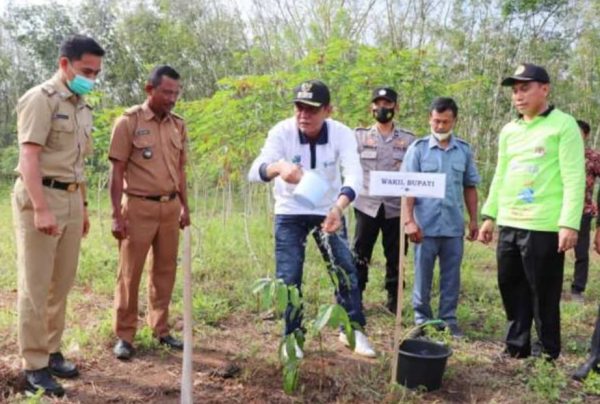 Peringati HLH Sedunia, Wabup Ali Rahman Jelaskan Bumi Alami Tiga Krisis