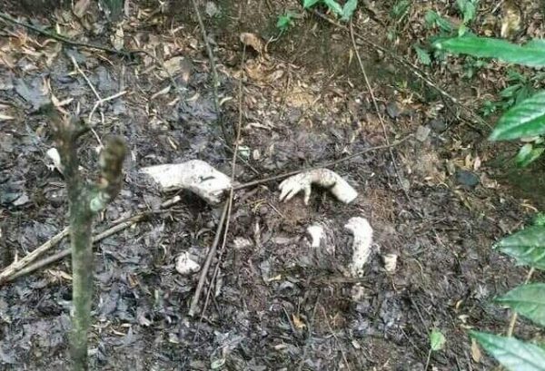 Ada Bekas Kekerasan Mayat Pria Pakai CD Pink Ditemukan Tewas Membusuk di Bukit Danau Bekri