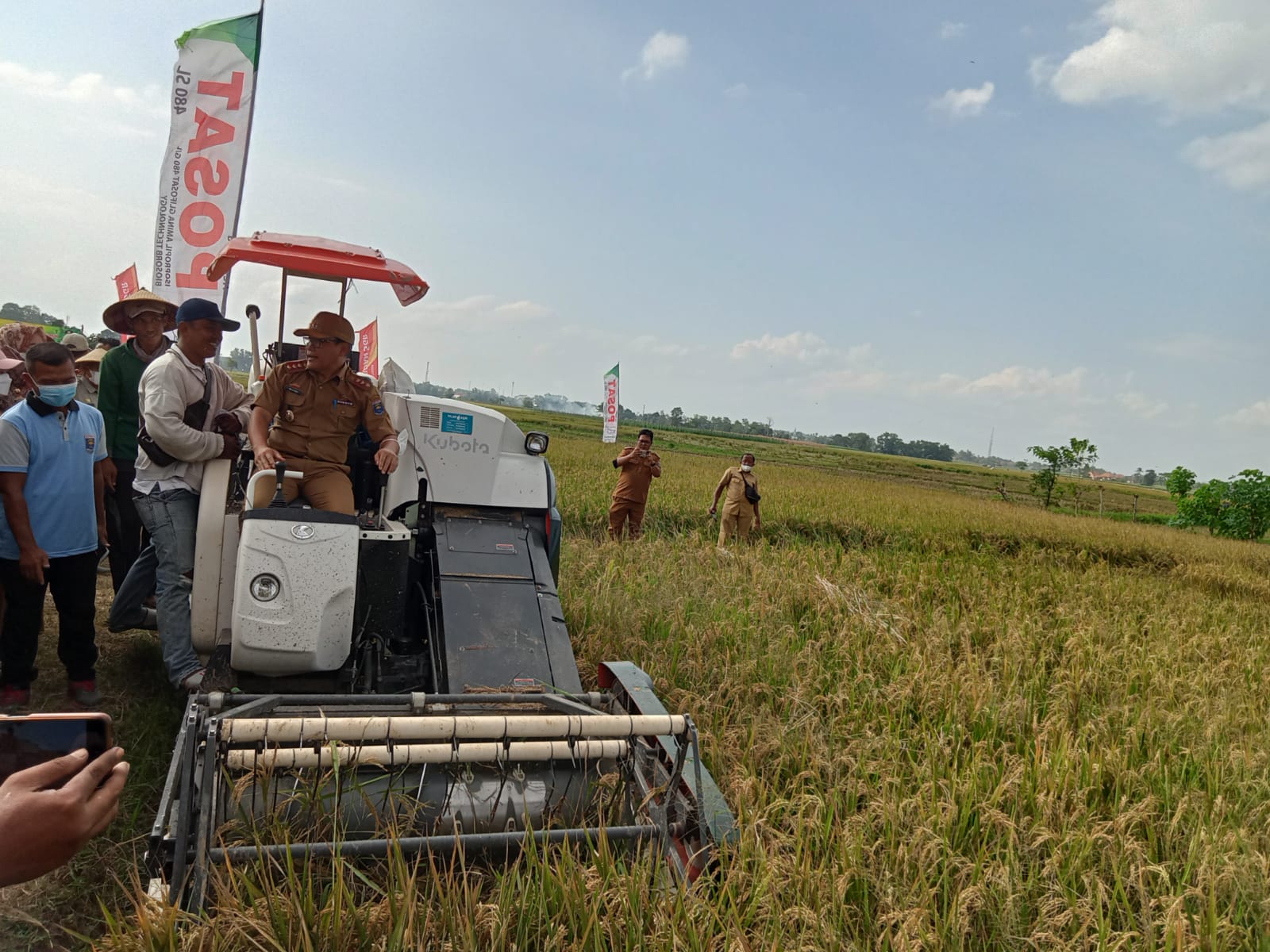 Pemkot Metro Pastikan Hasil Panen Padi MT II Capai 95 Persen Walau Diserang Hama Tikus