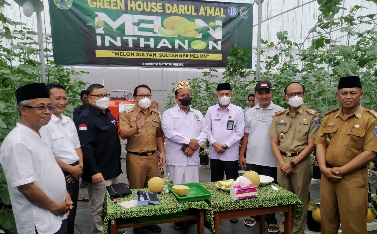 Tanam Melon Inthanon, Yayasan PPDA kota Metro Hasilkan 4 Kwintal Pada Panen Perdana