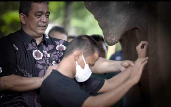 Serunya Disabilitas dan Tunanetra Kunjungi Taman Wisata dan Satwa Lembah Hijau