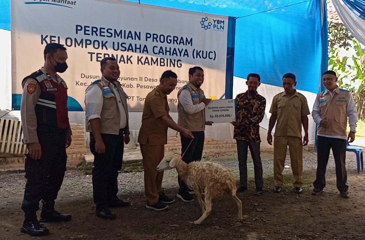 PT PLN Tanjung Karang Salurkan 29 Kambing Ternak di Pesawaran