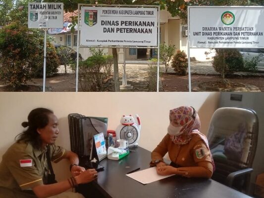 Dinas Peternakan Lampung Timur Pungli Pengurusan SPT Petugas Insemintor