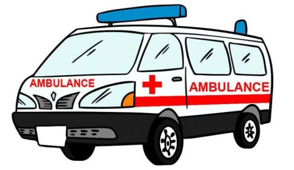 Momentum HUT RI Ke-77 Mencuat Pembelian Mobil Ambulance Pekon Gedau di Korupsi?